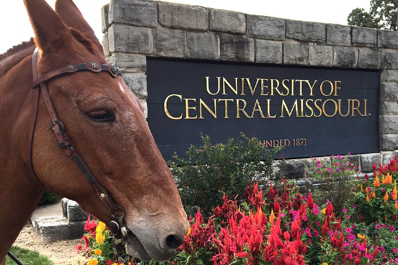 UCM Sign and Mule