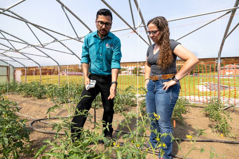 UCM professor and student in a high tunnel
