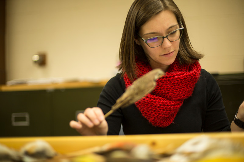 A student holding a stuffed bird specimen