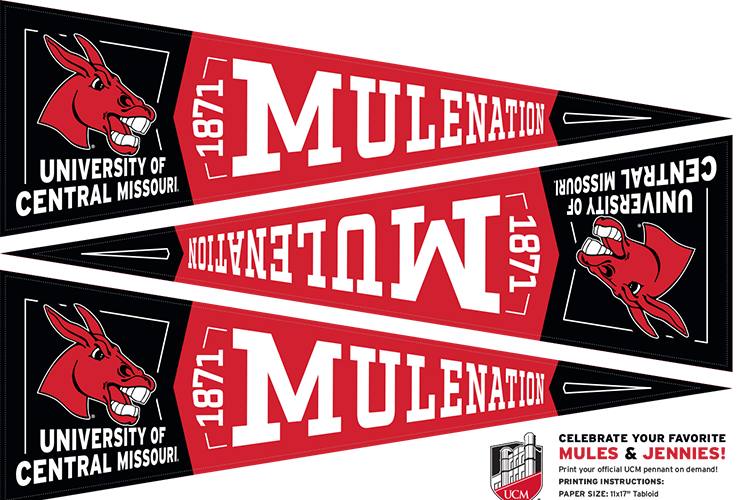 A printout of UCM themed pennants