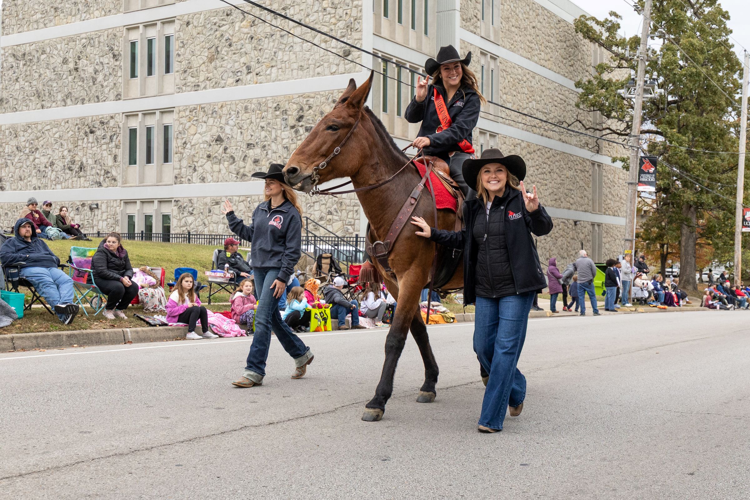 Molly the live mule mascot and her rider in the Homecoming parade