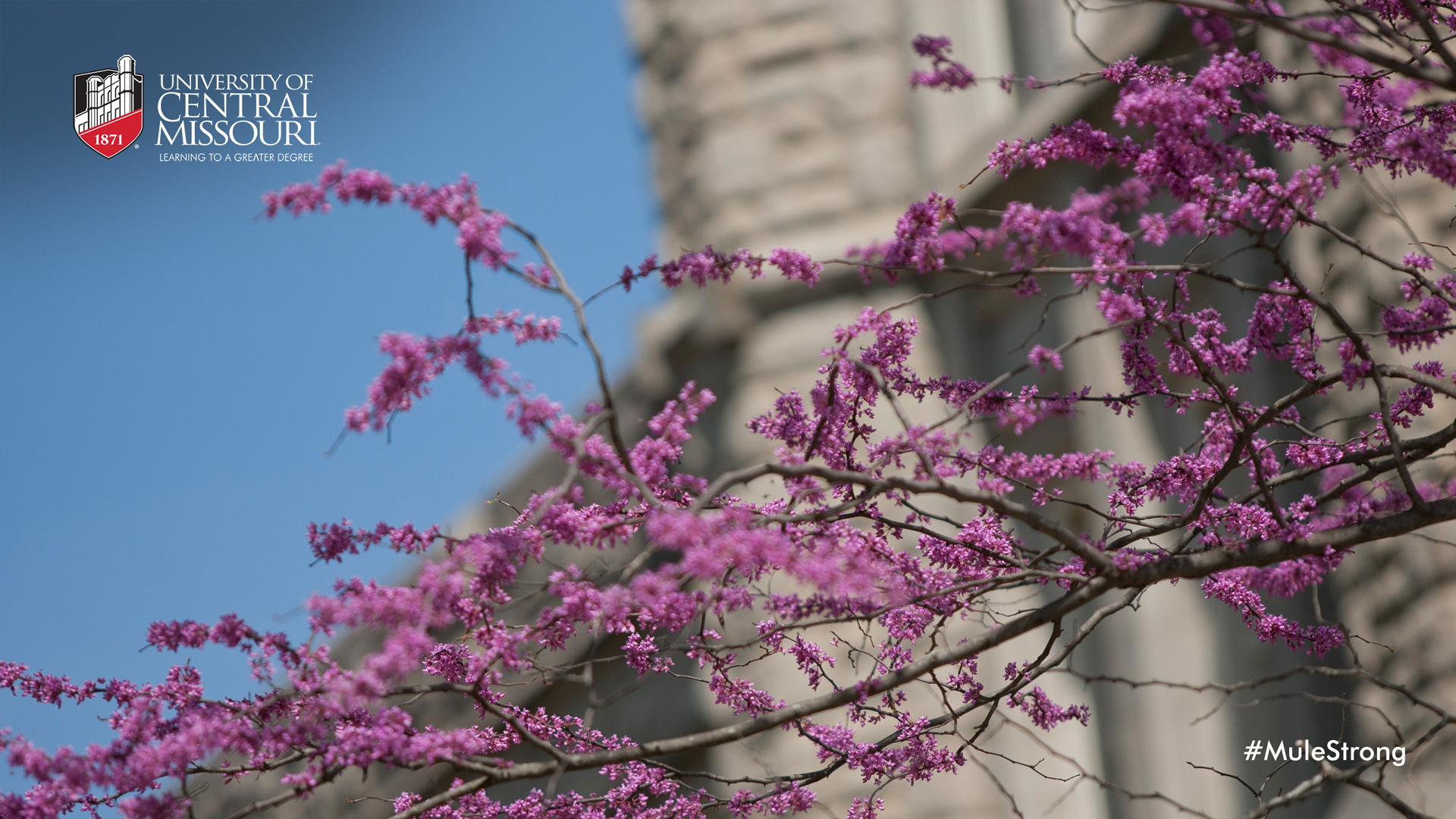 UCM Spring Campus