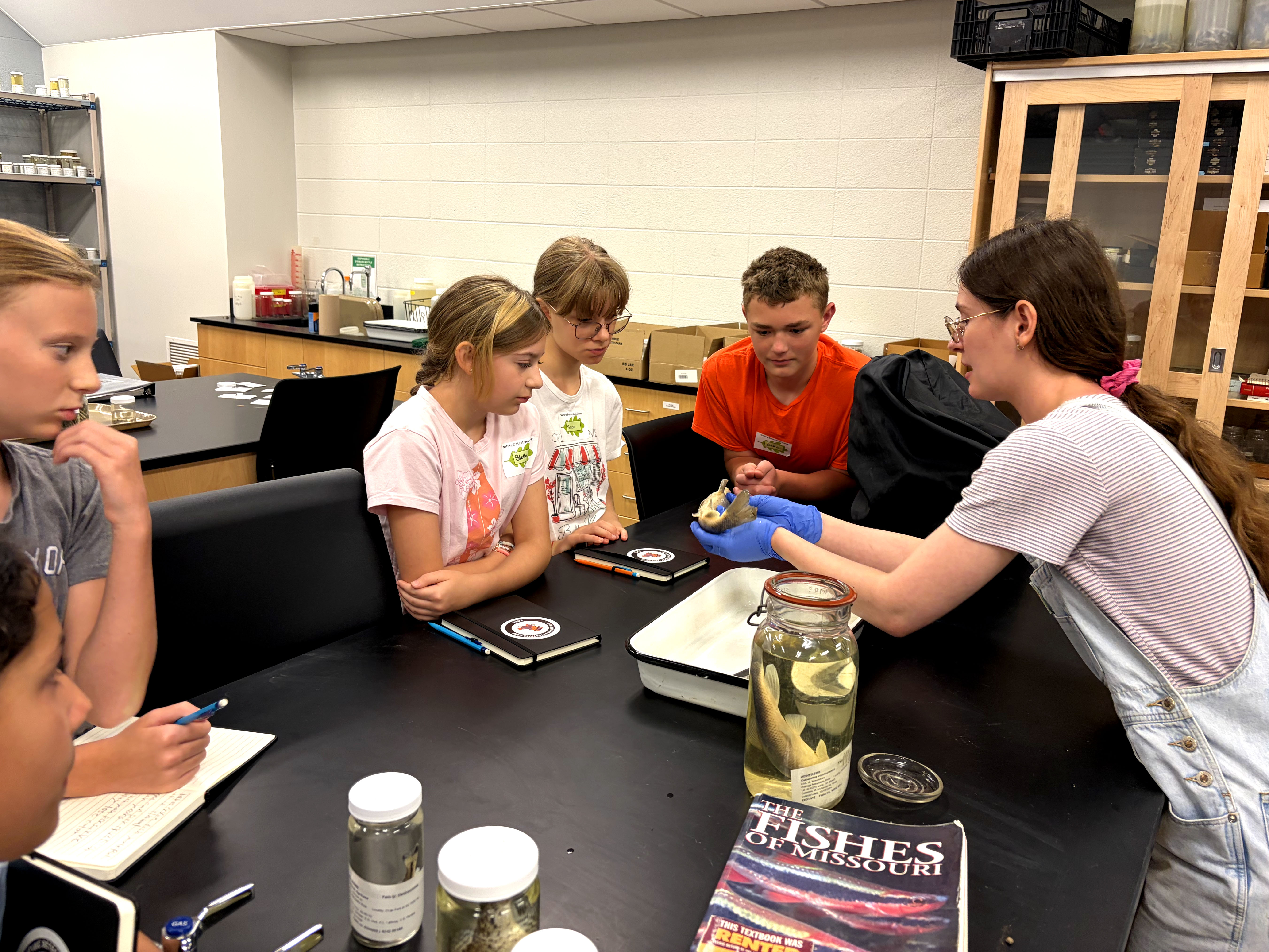 A UCM student shows a fish specimen to five middle school students during the Nature Detectives camp. They are sitting around a black lab table in a science classroom at UCM. The students have notebooks in front of them and other books and specimens in jars are also on the table.