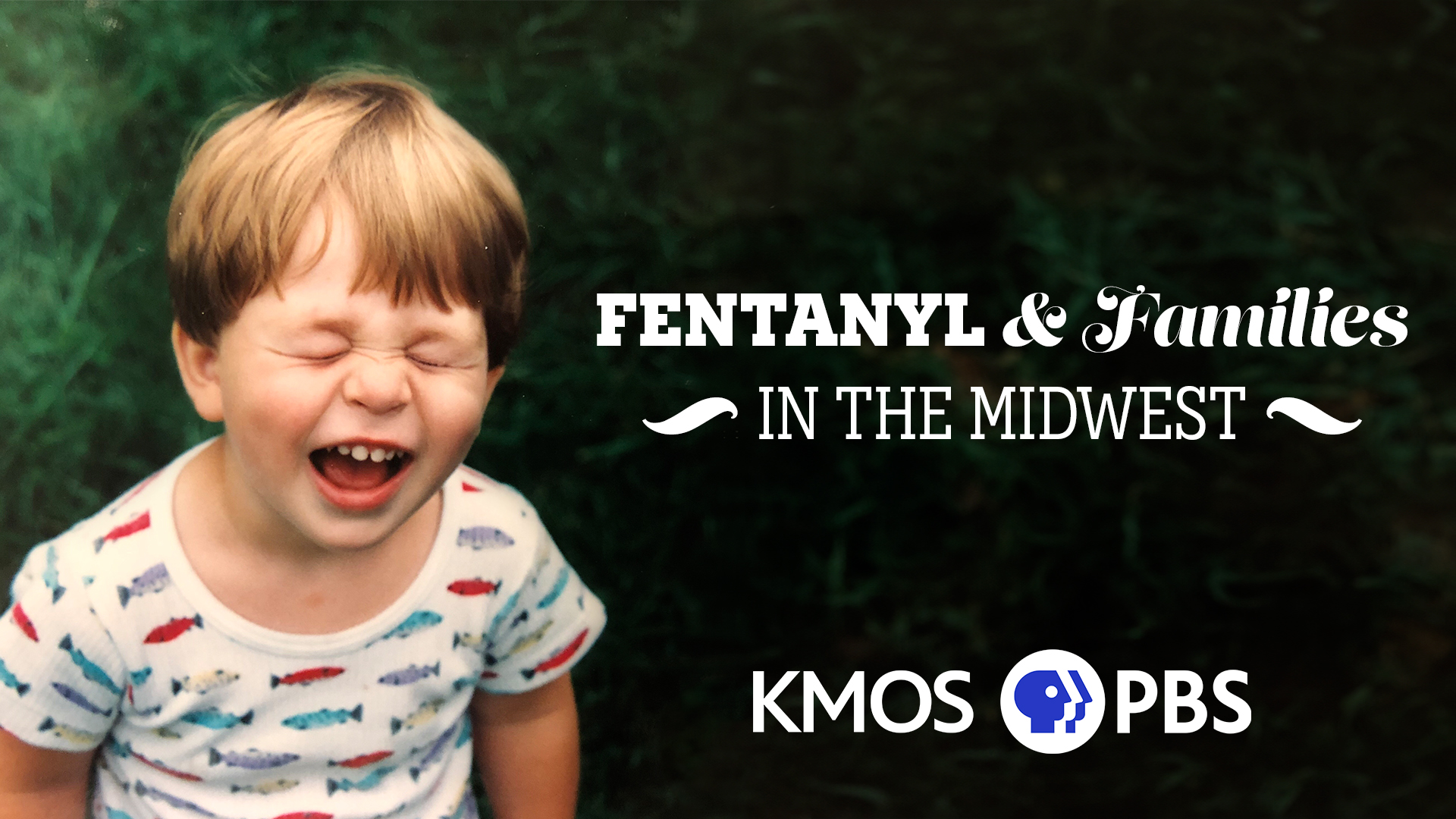 Graphic for “Fentanyl and Families in the Midwest