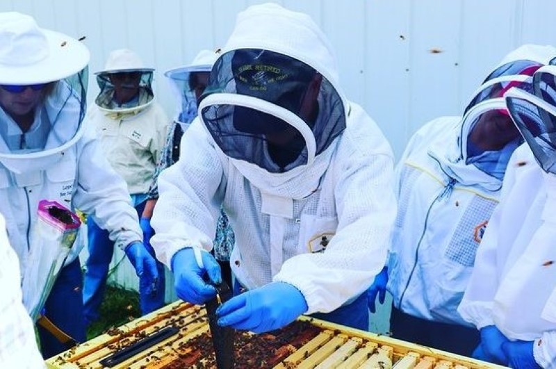 photo of beekeepers at ucm farm