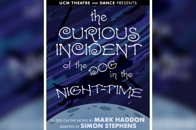 Curious Incident Poster