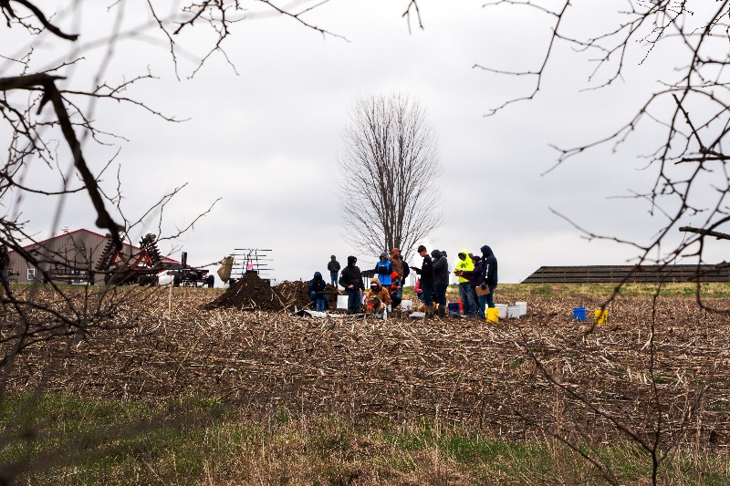 ffa-soils-photo