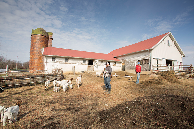 mitchell-street-farm