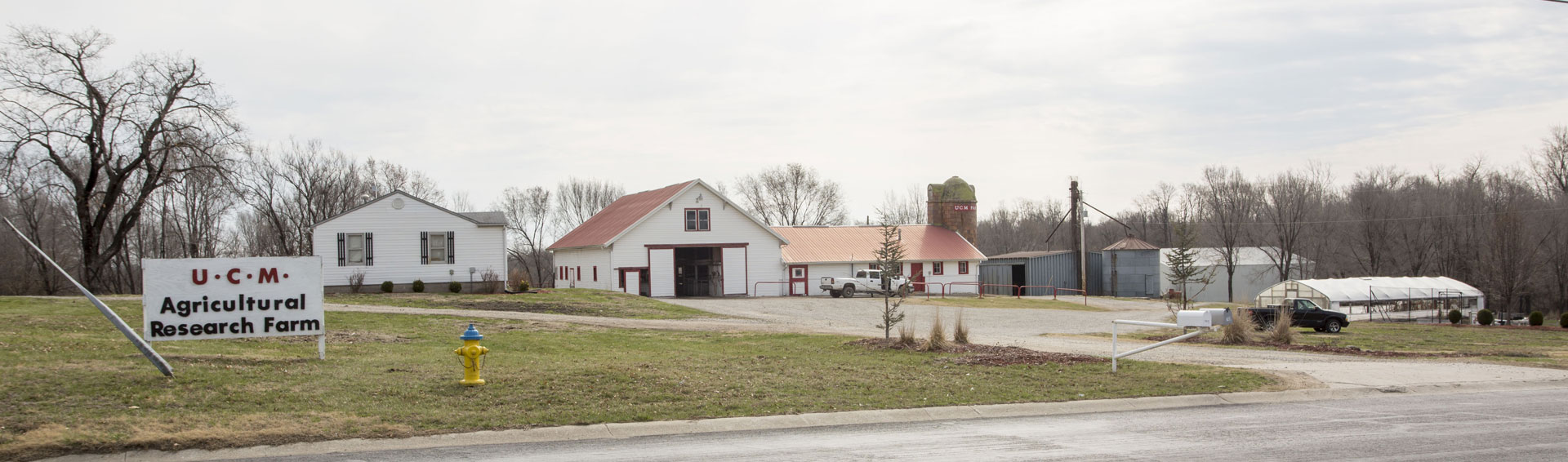 Mitchell Street Farm