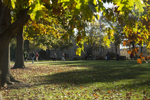 outdoor scene of UCM campus