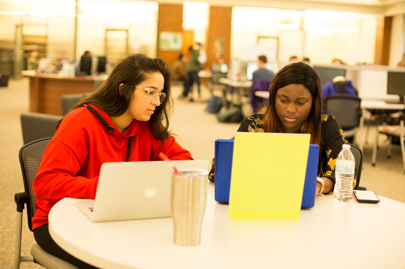 Learning commons students