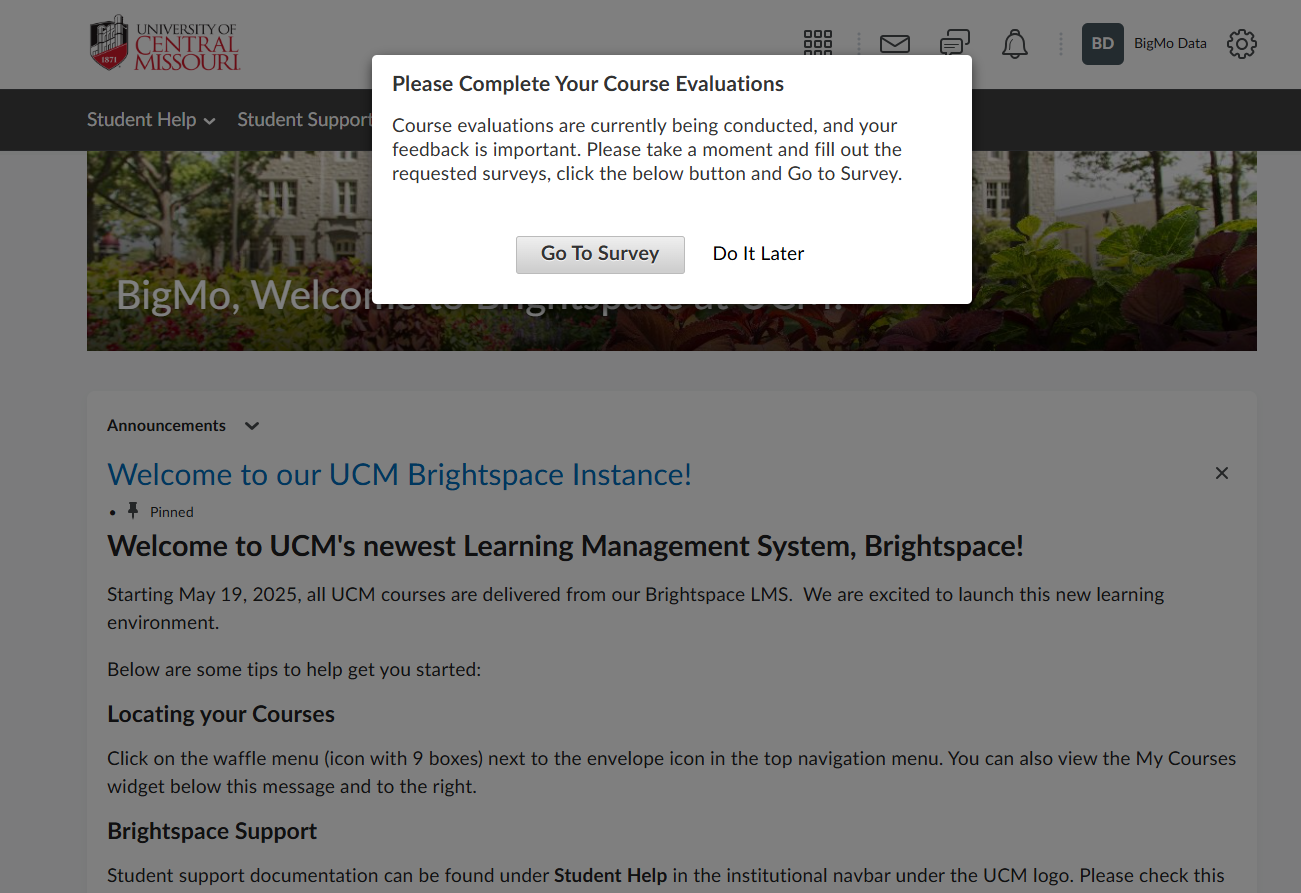 Course evaluation options